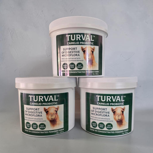 Turval Probiotic Supplement Powder for Camels THREE 1 LB TUBS BUNDLED: SAVE $15.00