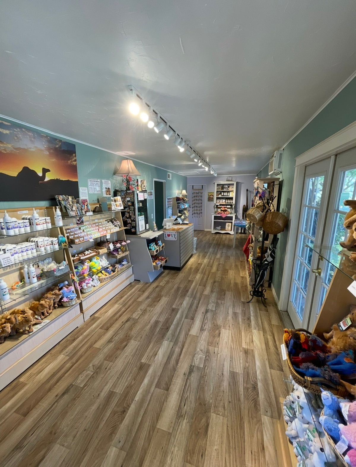 A Private Farm Tour Gift Certificate – Oasis Camel Dairy