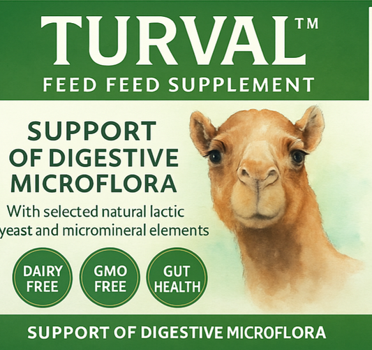 Turval Probiotic Suppliment Powder for Camels: 1/2 lb and 1 lb size