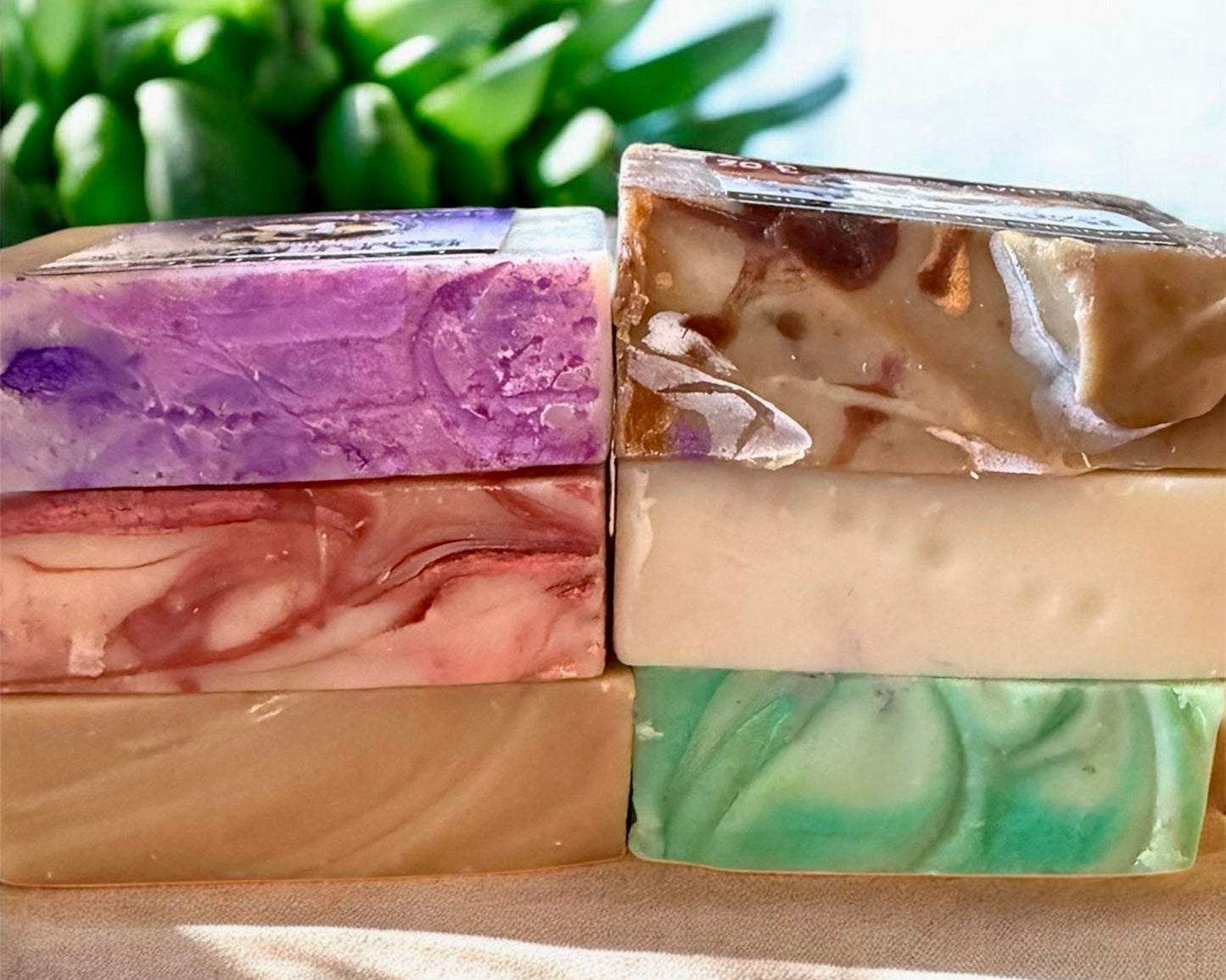 Camel Milk Bar Soap: Buy all SIX and SAVE!