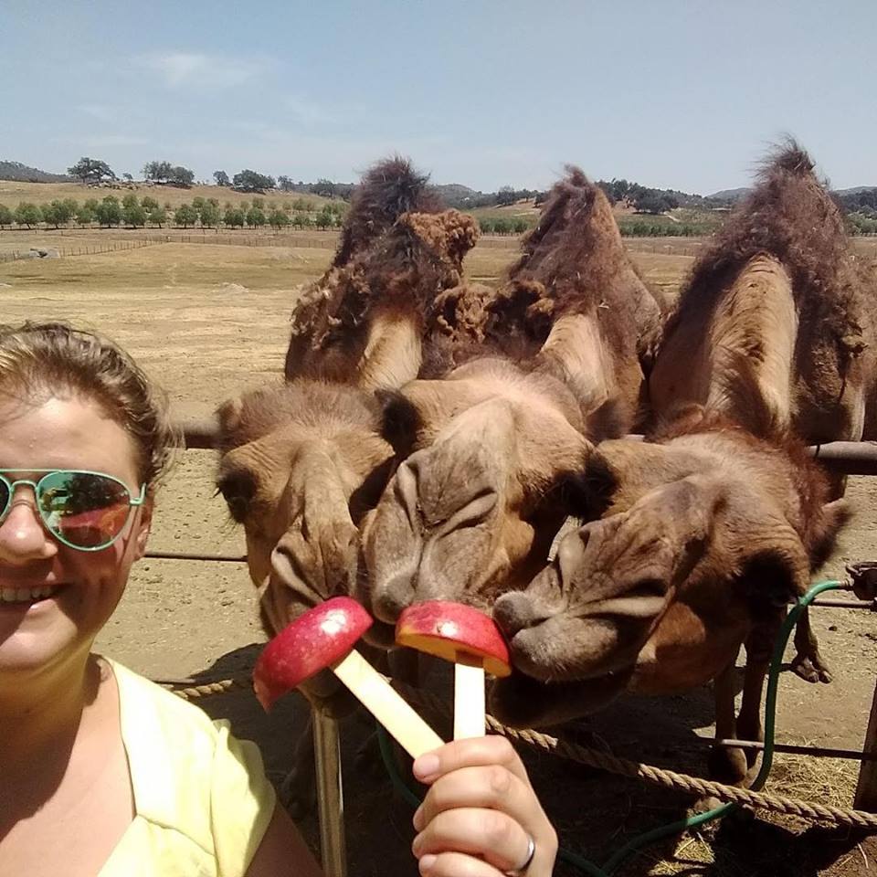 A Private Farm Tour Gift Certificate – Oasis Camel Dairy